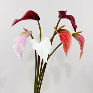 ����EVA�R���� �t�Z�� ���Q�� ���滨 �ҾӔ[����c�bٻ����l