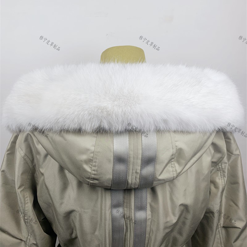 흰색 [작은 여우]