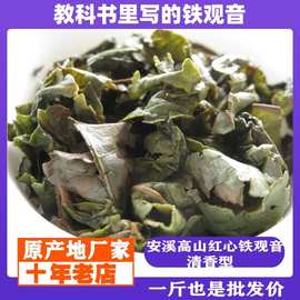 安溪高山红心铁观音 传统清香型绿叶红镶边海拔1000米以上老茶师