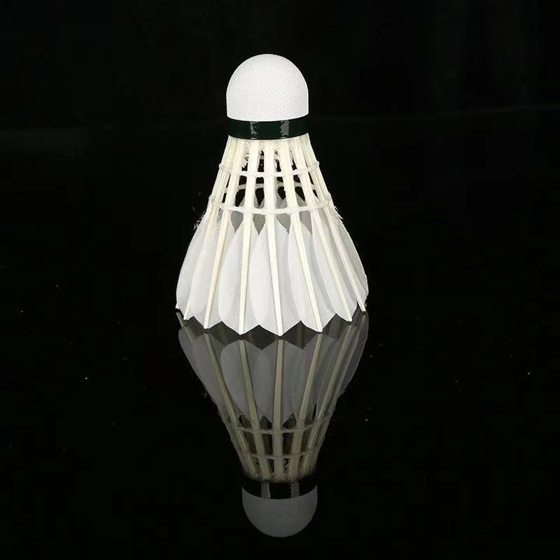 077fb5be-c9a6-4d0a-b834-d4ec277266b7.jpe