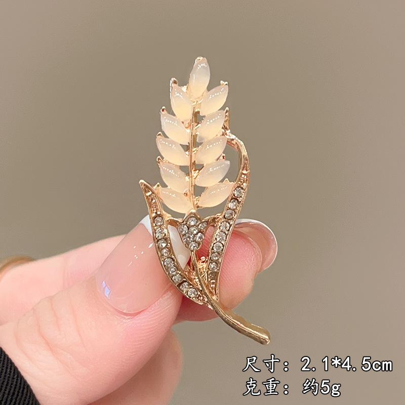 고양이 눈 밀 귀