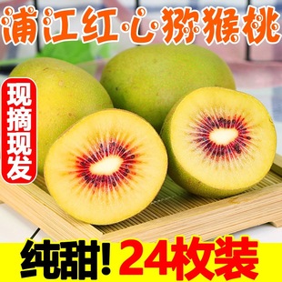 �Ĵ��ѽ��t�īJ���ҹٷ���Ş��tо�ď����Ҵ���������r�ֽ���S