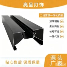 射灯轨道条二线导轨条加厚紫铜免桥架吊顶灯条工厂直销led灯轨道