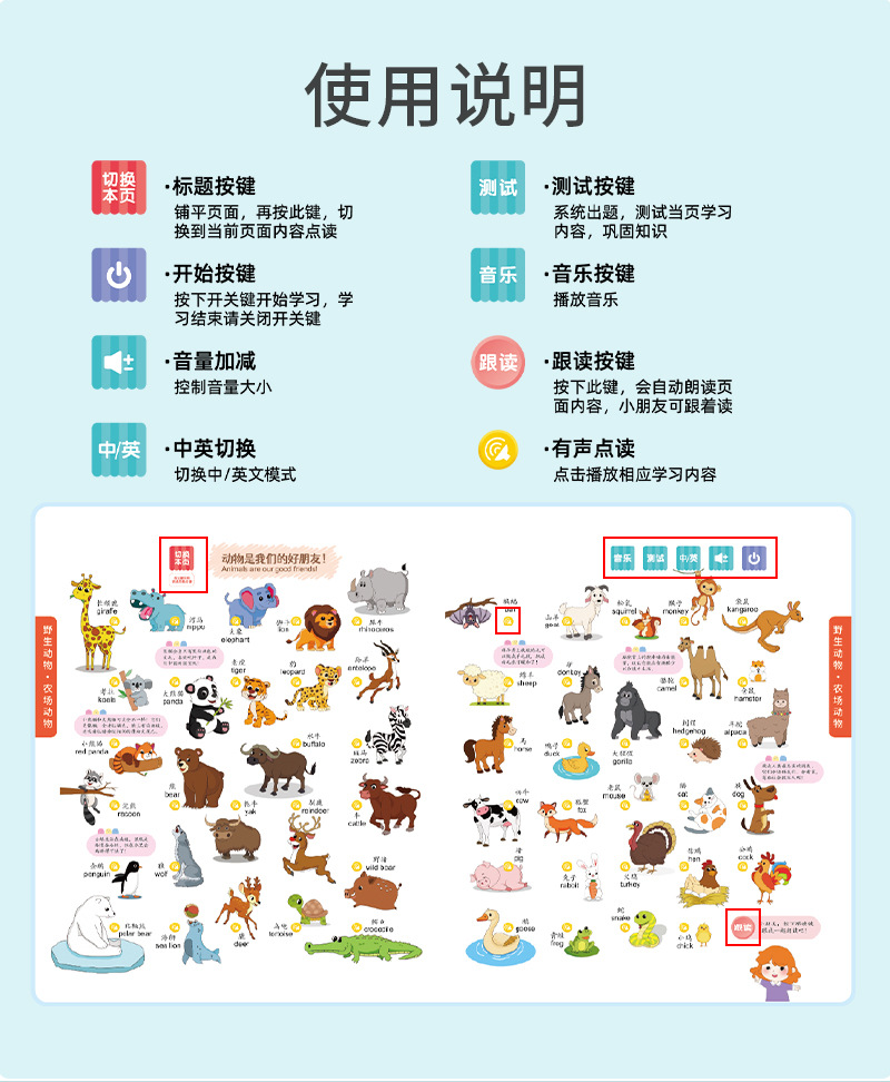 认知小百科_04