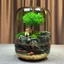 生态水培植物桌面花瓶