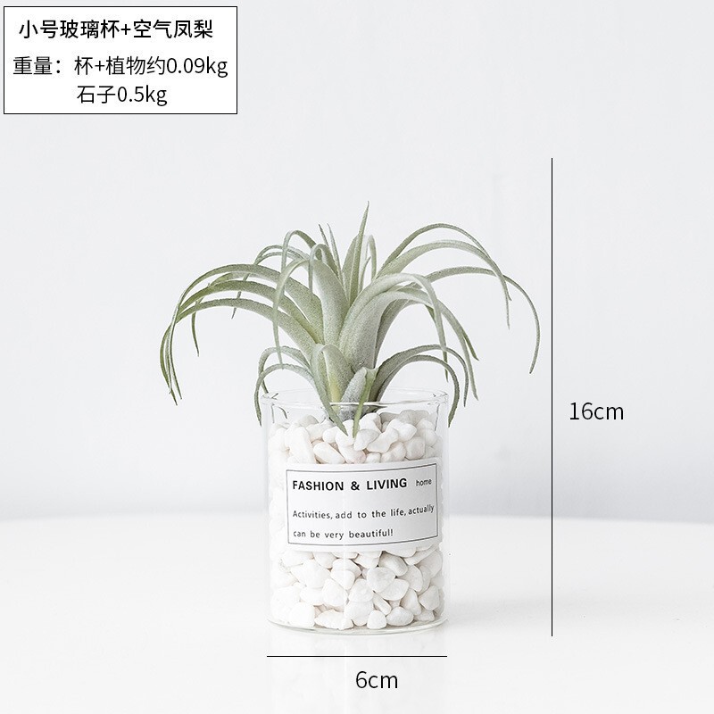 北欧スタイルの模擬多肉植物鉢植えインストーン多肉植物模擬花オフィスデスクグリーン植物盆栽装飾品|undefined