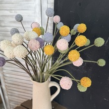 ���滨�S���򱱚W�ҾӲ��üٻ���Y���s�b[���ٻ������S���