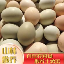 农家土鸡蛋山坡散养50枚新鲜谷物蛋现捡绿壳蛋整箱批带蛋托土鸡蛋