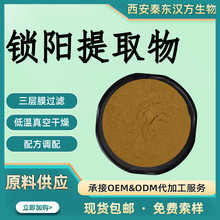 锁阳提取物水溶锁阳食品级植物提取物原料源头厂家现货