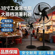 ������L�ȼ���18������������k���ғu�^���I�ȏV�Ǐ��L������