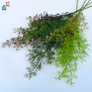 ɺ���� ɭϵ���F�� ��Y�ñ������廨���滨 �Ƶ�����d���üٻ�