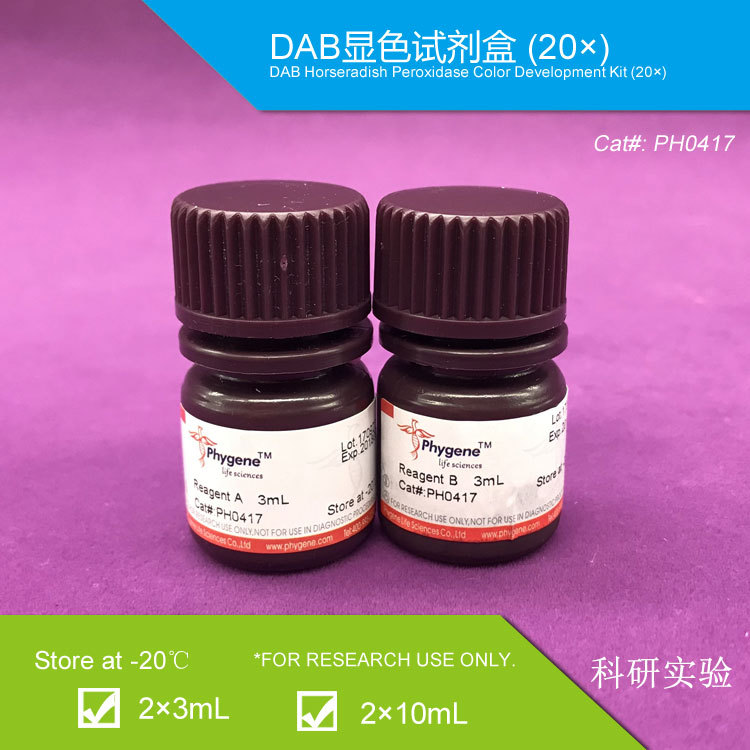 DAB显色试剂盒(20×) 实验专用 可开票 [PH0417 Phygene]