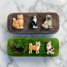 �羳���u��؈���_؈��ëȮ��������ϵ���¿��~��ɫ���朚W�����