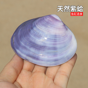 ��Ȼ������ɫؐ�� �p���ϸ� �~��ˮ���쾰 �Ҿ��ղؔ[�� ����Y��
