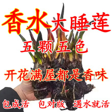 �����ͺɻ�ˮ�Bɏ��˯ɏ���~����ˮ˯ɏ���K�ļ�����ˮ��˯ɏ����