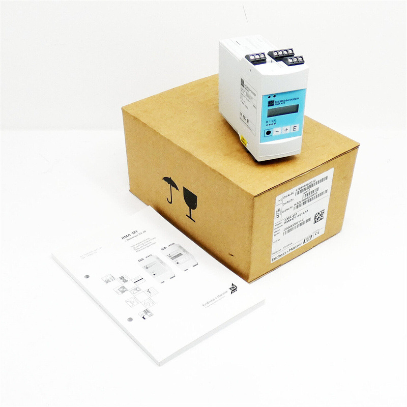 德国E+H Endress + Hauser 变送器RMA421-A21A3A