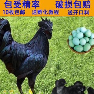 ���һ�G�ܾ����ɷ���С�uɢ�B�u�������u�������G���N��