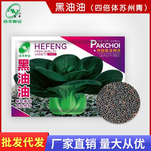 �������K����N��20g �ﶬ�ͺ��Ͳ��߲˷N��С�ײ˺��Ͳ���˷N��