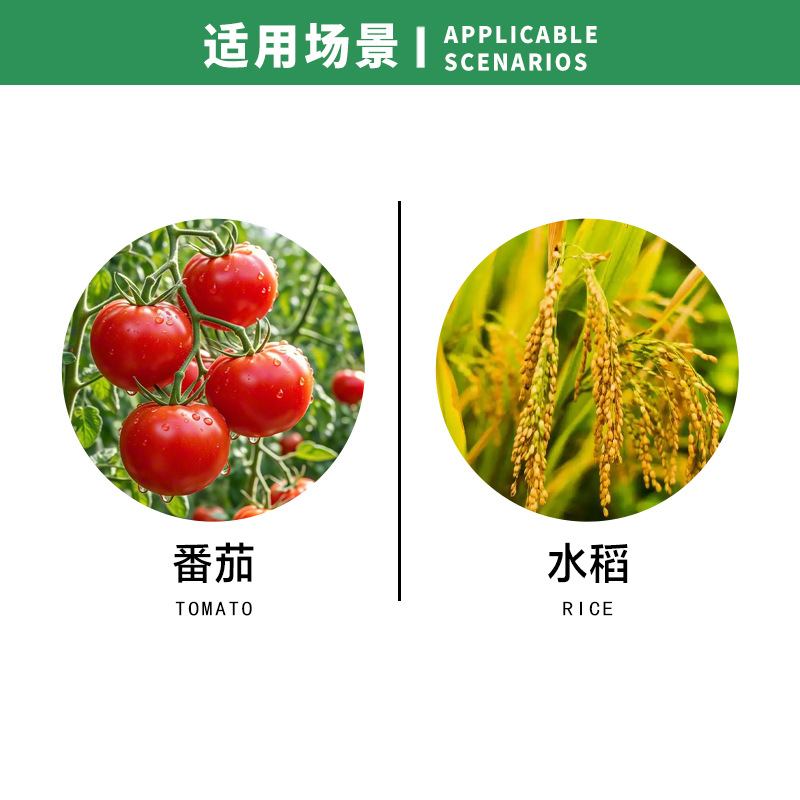 中保克独宝 En Гидроксиморфин гидрохлорид Вирусная болезнь томатов Черный полосатый карлик Пестицид Фунгицид 15 г