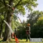 伸缩修剪园林省力修枝剪