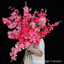 õ�tɫϵ��c���滨��·�����ŵ����������b�Y�ò��ý���