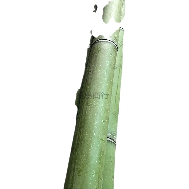 Декоративные украшения толщина зеленый бамбук танцующий бамбуковый шест зеленый бамбуковый столб перегородка внутренний и наружный бамбуковый столб материал Nanzhu