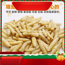 ���������x���������x�����x�ɸߵ����x���۴����،m���Ќ������