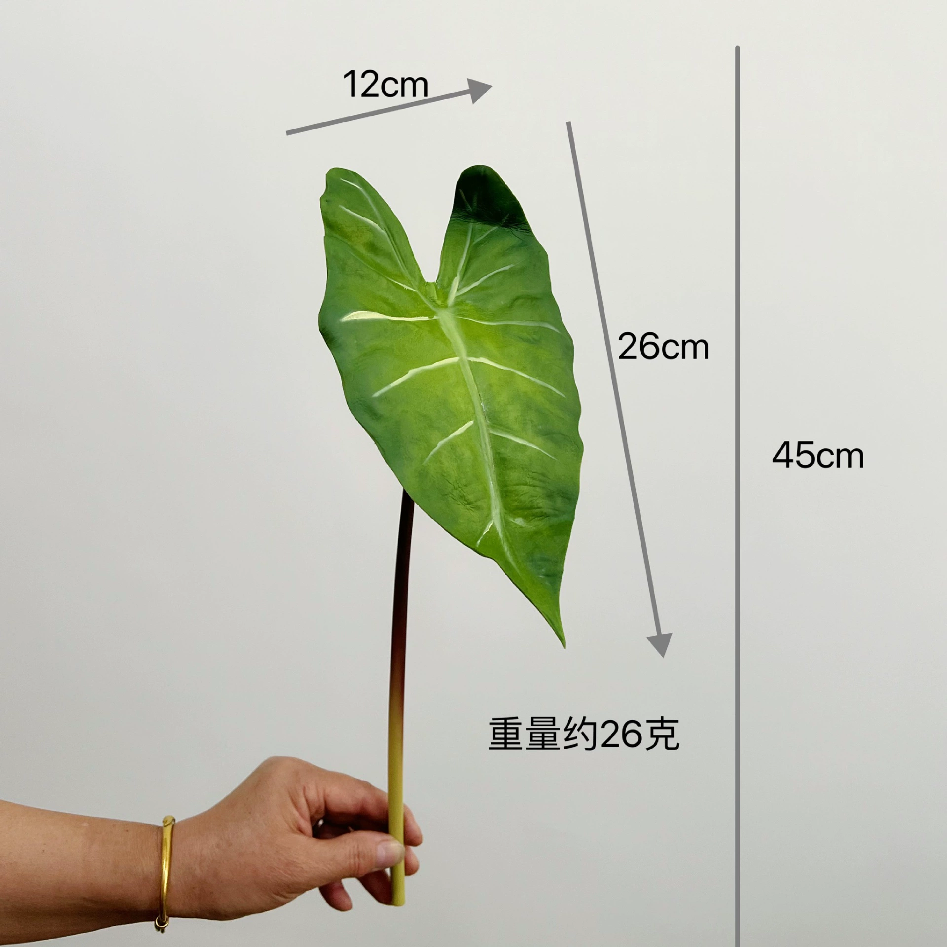 Имитированное растение Hanyang лист PU ощущение весной побег таро лист зелёный лебедь лист украшение для сада отель декоративное искусственные цветы