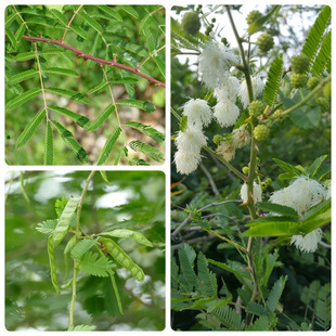 ���Ӵ̷N�Ӈ��@�{�G�h���д��y�Ϛgɢ�b��·�G���o�¹�����ľ�N��