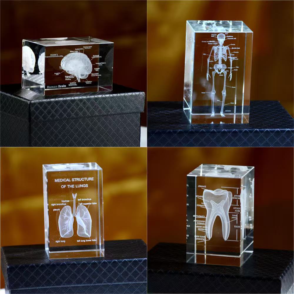 3D cristal interior escultura modelo anatómico del corazón humano diagrama esquemático de la estructura del sistema endocrino regalo arte de escultura interior