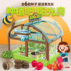 Children's Mini Greenhouse Planting Set Sunshine Room Planting Toy Primary School Students Science Experiment Kit Balcony Mini Gardening