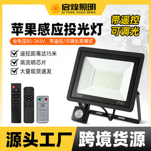 Led Remote Control Floodlight 100W with Remote Control Sensor Floodlight 50W Adjustable Brightness Sensor Apple Floodlight