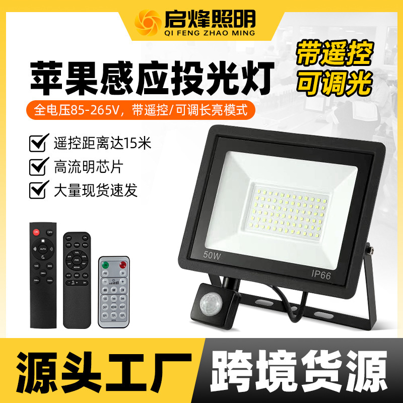 Reflector LED con control remoto, luz de 50W/100W, intensidad ajustable, ideal para exteriores y patios