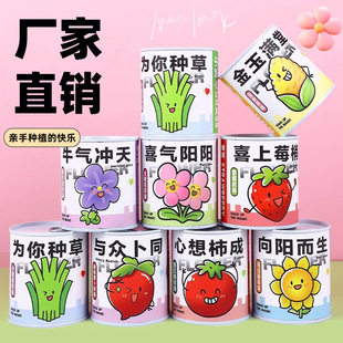 Children's Day Gift Canister Potted Indoor Mini Desktop Small Green Plant Trendy Canister Ornamental Small Potted Plant