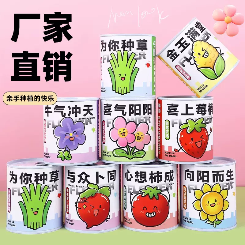 六一儿童节礼物易拉罐盆栽室内迷你桌面小绿植网红罐头观景小盆栽
