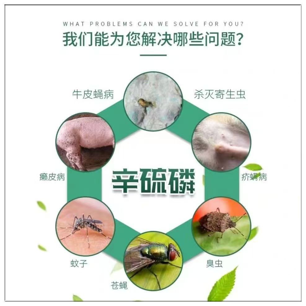 微信图片_20251017155253