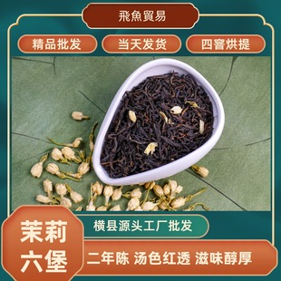 ������������2026������Ɲ����������� ����� ������  �V����