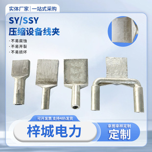 SY���s���O�侀�A���lSSY�p�������s���A�~�X�^����B�Ӱ�ȫ