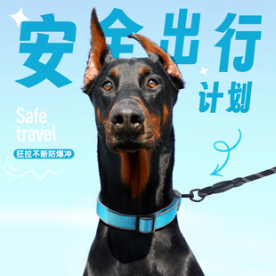 New Cross-border Pet Collar Traction Anti-break Dog Collar Reflective Adjustable Dog Collar Wholesale