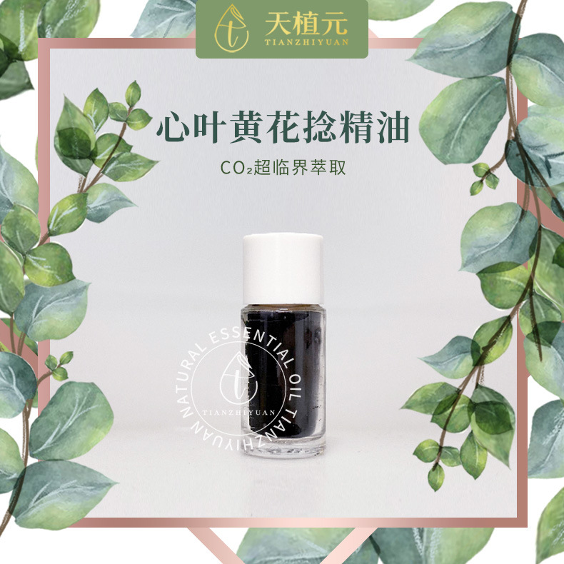 心叶黄花捻精油天然单方精油化妆品原料芳疗护理调香香薰植物精油
