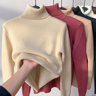 Women's Winter Thick Velvet Sweater, Thick Mink Velvet Warm Top, Turtleneck Bottoming Shirt, Trbottomy Inner Wear for Women in Autumn and Winter