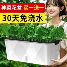 �Ԅ���ˮ����N�˷N���Nֲ���ͥ�̨���˻������ϷN����G�}����