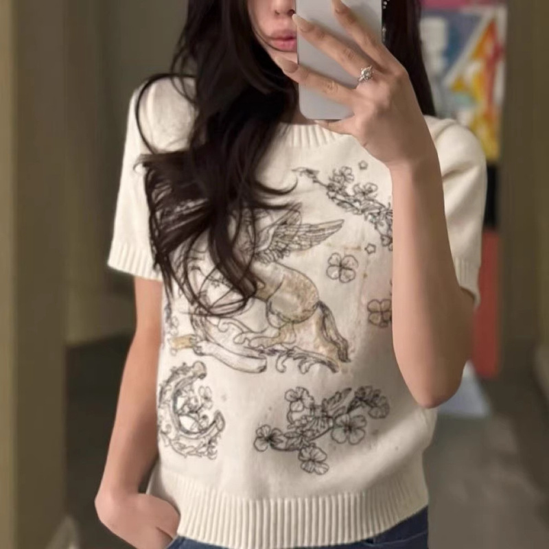 Korean Style Spring and Summer New Style Pony Embroidery Round Neck Stylish Versatile Casual Thin T-Shirt Knitwear Women's Short-Sleeved Top Korean Style Spring and Summer New Style Pony Embroidery Round Neck Stylish Versatile Casual Thin T-Shirt Knitwear Women's Short-Sleeved Top