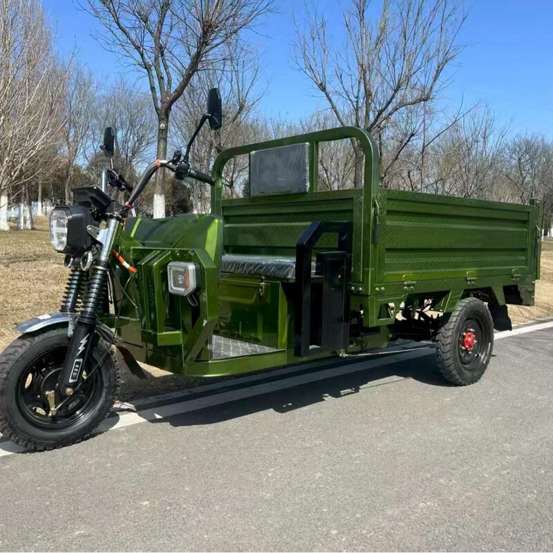Electric Tricycle for Cargo, Heavy-Duty Three-Wheel Electric Battery Vehicle, Household Large Agricultural Tricycle for Stall Setting and Export Electric Tricycle for Cargo, Heavy-Duty Three-Wheel Electric Battery Vehicle, Household Large Agricultural Tricycle for Stall Setting and Export