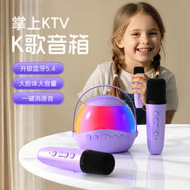 新款双麦蓝牙音响家用户外便携K歌话筒音箱无线麦克风一体机跨境