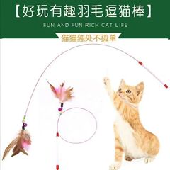 宠物玩具钢丝逗猫棒长杆羽毛铃铛逗猫神器可替换头自嗨解闷猫玩具