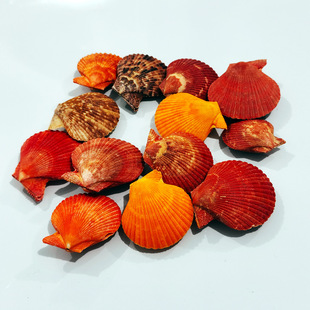 ��Ȼؐ�������p����ؐ�˱�����Ҿ��ղ��b��~��ˮ�����쾰���l