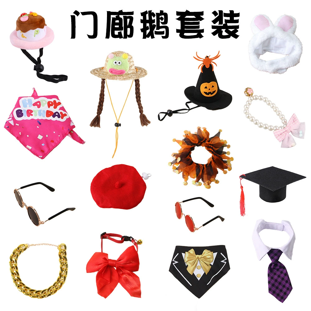 Jewelry, Amazon, dress up