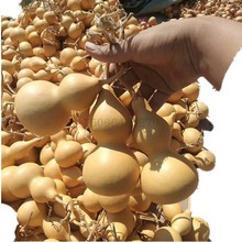 BTV4�ĳ���Ȼ������ˇ���J �Ӯ��ز����־����õؔ��R�����J�a��