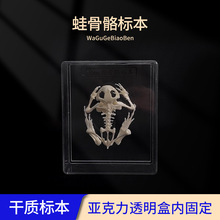 J43108�ܹ����˱� �ЌW�������� ��������˱� �̌W�x��